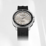 Mariner X Diver